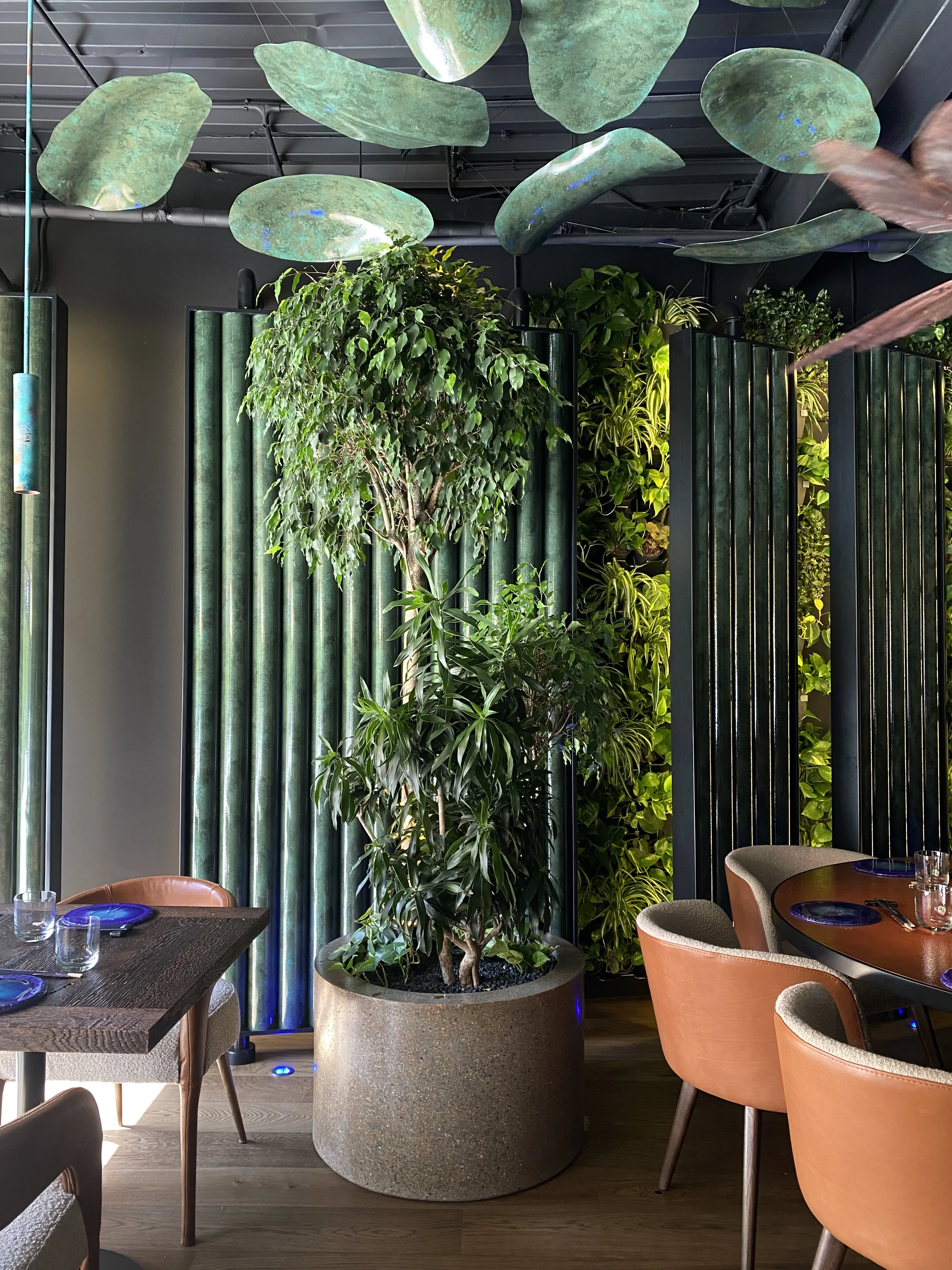 Dragon Fly